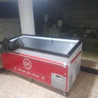 یخچال گوشت و مرغ زیر صفر