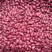 حبوبات و برنج زیر قیمت بازار