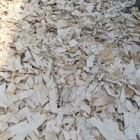 نان خشک تمیز ۹۰ گونی گونی 200