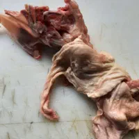 اسکلت مرغ
