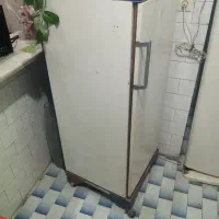 فریز برفکی