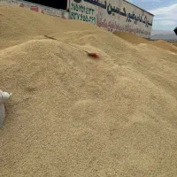 کارگر برای انبار خوراک دام