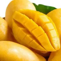 میوه مجلسی تشریفات ، قبول سفارش