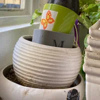 گلدان سفالی و پلاستیکی کوچک وبزرگ دونه ای ۹۵ تومان