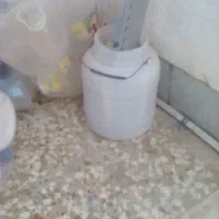 فروش دبه پلاستیکی بدون درب
