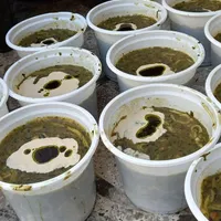 سفارش غذاهای خونگی|خوردنی و آشامیدنی|چناران, |دیوار