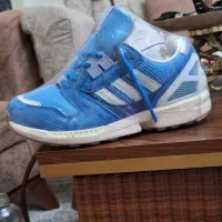 zx8000آفسپرینگ سایز39نیم