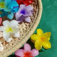 کلیپس و اکسسوری مو