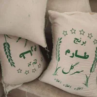 برنج سرگل طارم