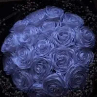 گل روبانی