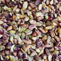 مغزپسته دندانه دامغان شاهپسندچرب مناسب روغن گیری