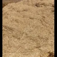 کاه دهدشت