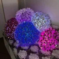 حراج دسته گل پروانه نصف قیمت