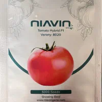 بذرگوجه۸۰۲۰رقم هیبرید فوق پربارتیپ گرد و گوجه ۸۳۲۰