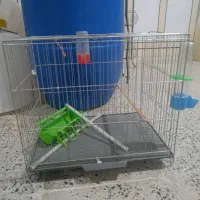 قفس پرنده