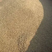 جو محلی