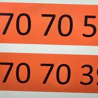 79 39 70 70 091 رند دو قلو