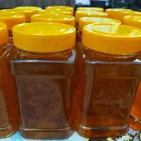 عسل کندو، کنار، محلی و درجه۱، تک به قیمت عمده