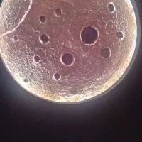 نقاشی ساختمان