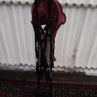 کالسکه عصایی