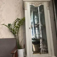 گنجه درحدنوع