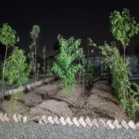 باغچه 350متری /دارای آب ،برق و سند ،امین آباد