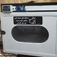 جوجه کشی ۴۲ تایی سالم