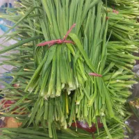 سیر محلی دسته ای ۱۵تومن