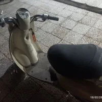 متور پاکشتی