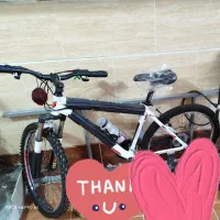 دوچرخه ۲۶ حرفه ای