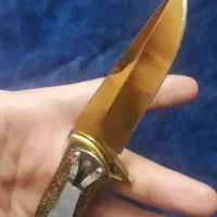 جیبی