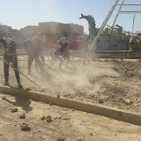 کاشت چمن طبیعی