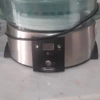 بخار پز