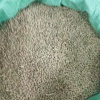 خریدار عدس ونخود