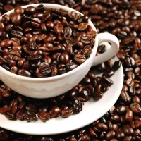 فروش عمده قهوه