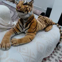 ببر پولیشی بزرگ