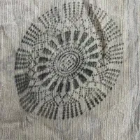موسم دوز میخام