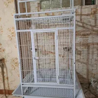 قفس بزرگ برای آرا و کاسکو کاکادو