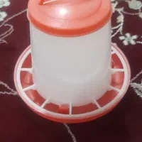 فروش دانشوری یک کیلویی ۳۵۰ تومان
