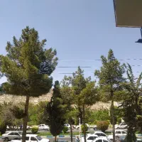یک خواب اداری پاسداران