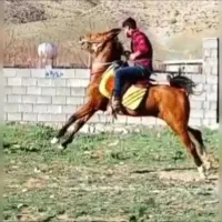 مادیون فروش فوری