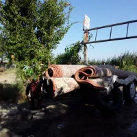 قالیشویی سنتی شهرمن . شستشوبادست متری ۵۰ تومن