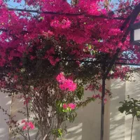 رهن ویلایی بندرلنگه