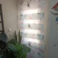 پرده زبرا