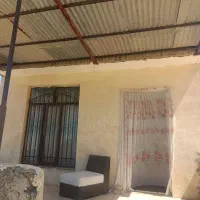 باغ پنج ساله دینور روستا جباراباد ملاماس