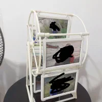 قاب عکس