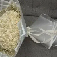 گل نمزادی