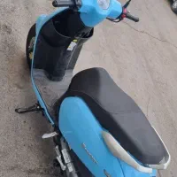 بنلی پانائارا