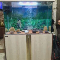 اکواریوم شیشه خم