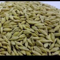 جو ابی درجه یک